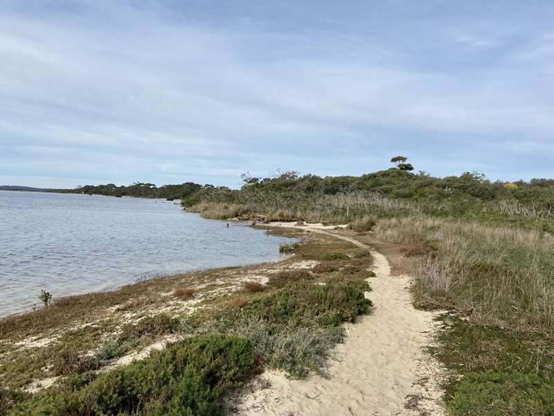 Venus Bay - Anderson Inlet Walk