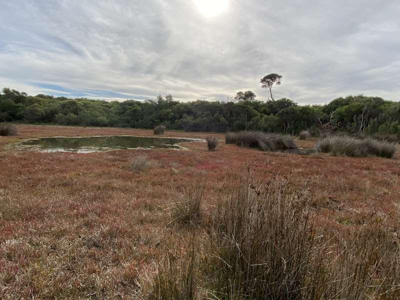 Venus Bay - Point Smythe Nature Trail Walk