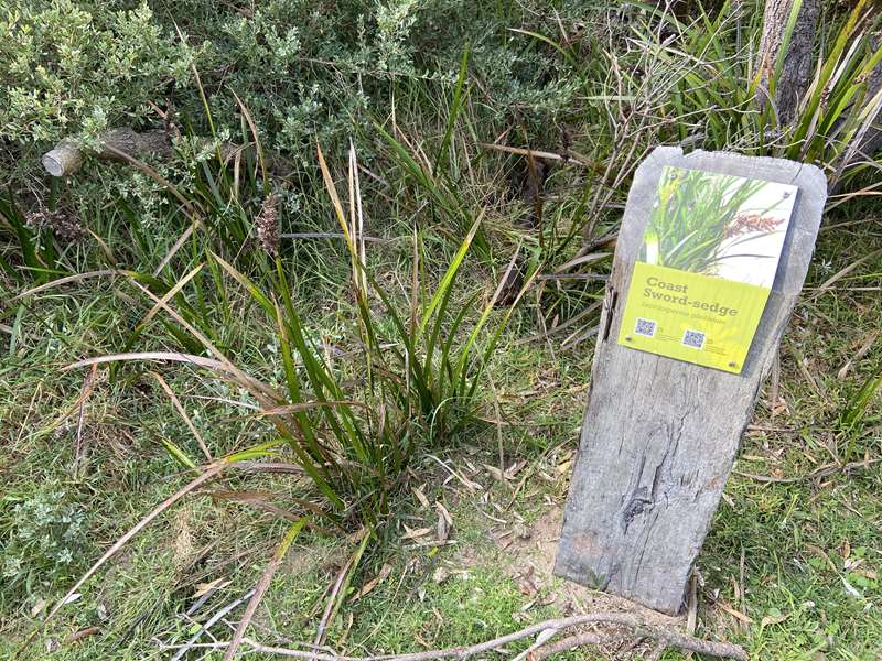 Venus Bay - Van Cleef Reserve Walk