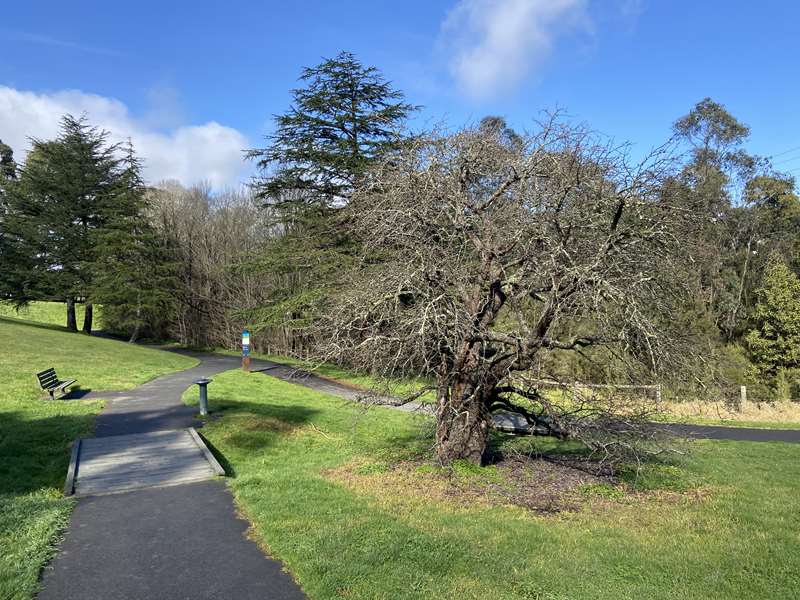 Waldau Village Historic Walk (Doncaster East)