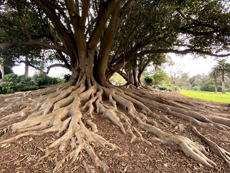 Warrnambool Botanic Gardens