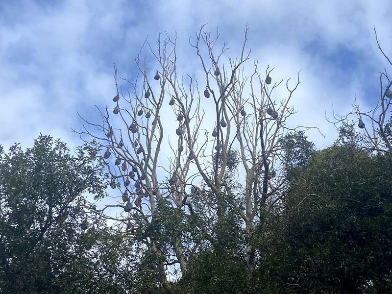Warrnambool Botanic Gardens