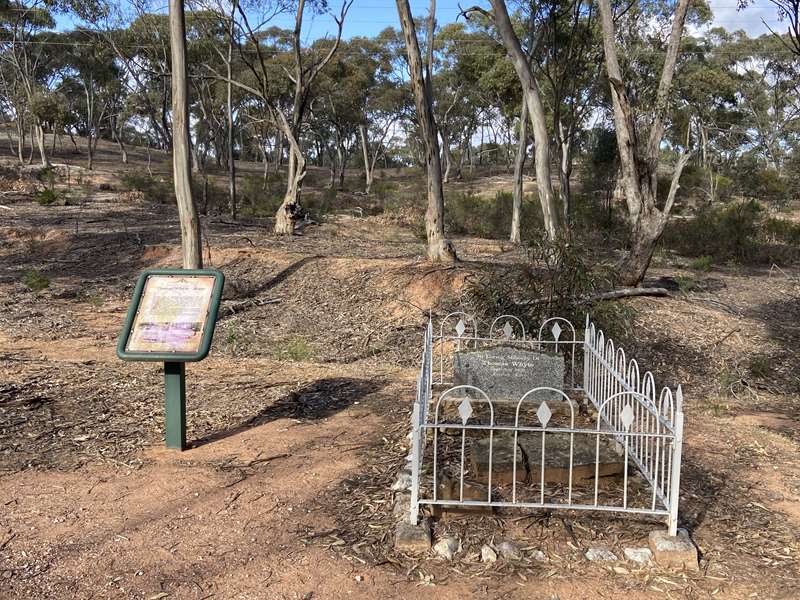 Wedderburn - Lonely Grave of Thomas Whyte