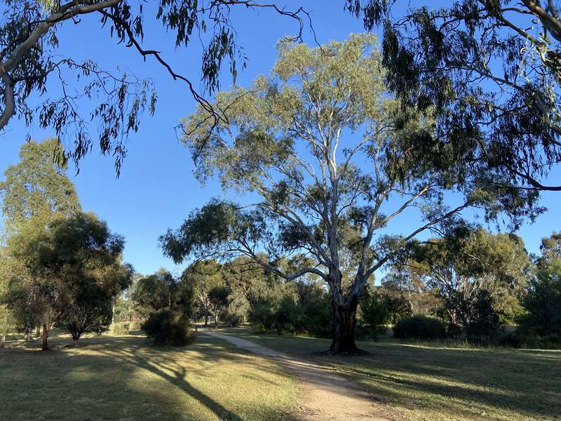 Wedderburn - Nardoo Trail