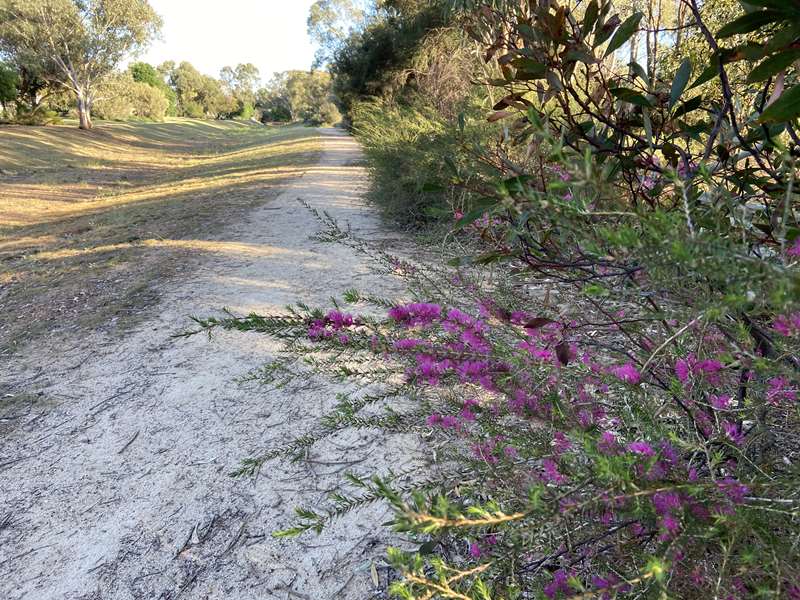 Wedderburn - Nardoo Trail