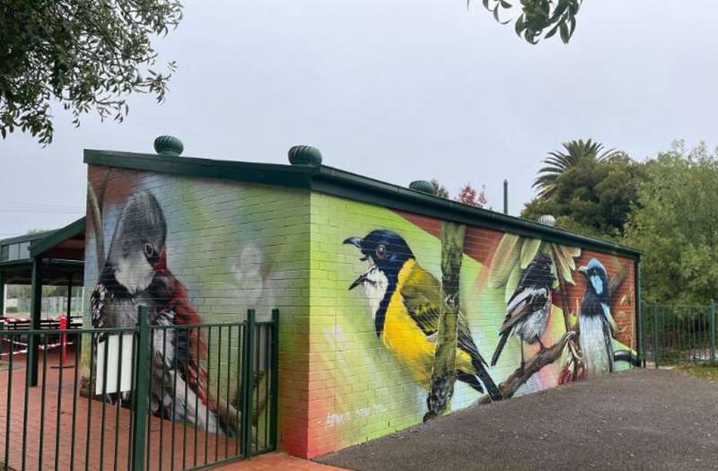 Wedderburn - Birds Eye View Murals