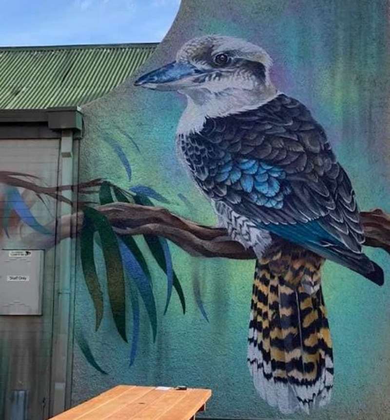 Wedderburn - Birds Eye View Murals