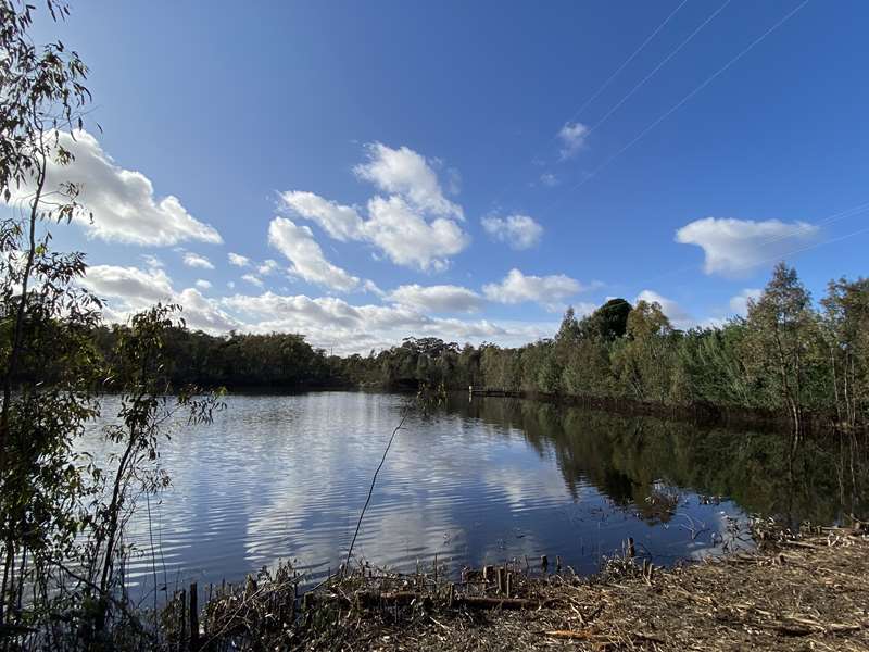 Wedderburn Reservoir Track Walk