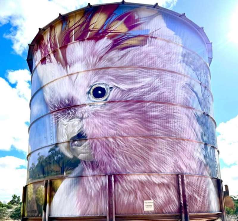 Werrimull Mobile Silo Art - Mallee - Outside Melbourne