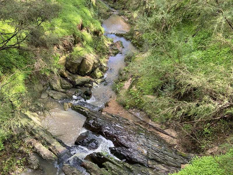 Westerfolds Park to Templestowe Village Walk (Templestowe Lower)