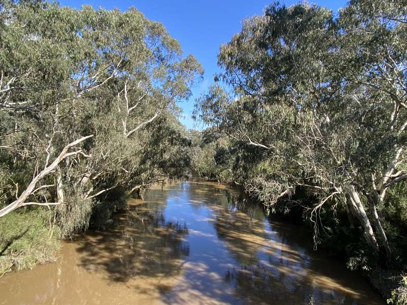 Westerfolds Park to Templestowe Village Walk (Templestowe Lower)