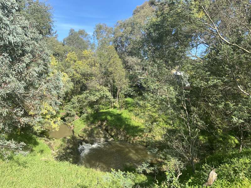 Westerfolds Park to Templestowe Village Walk (Templestowe Lower)