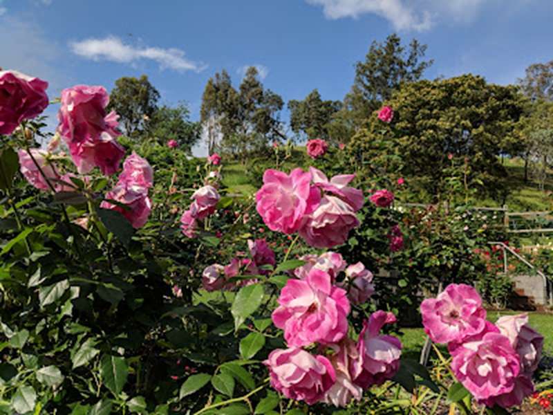 Wilson Botanic Park (Berwick)