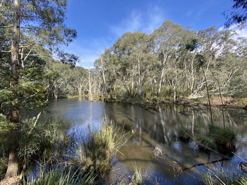 Wilson Reserve Trail (Ivanhoe)