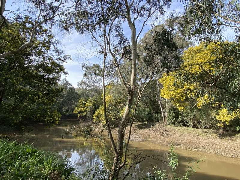 Wilson Reserve Trail (Ivanhoe)