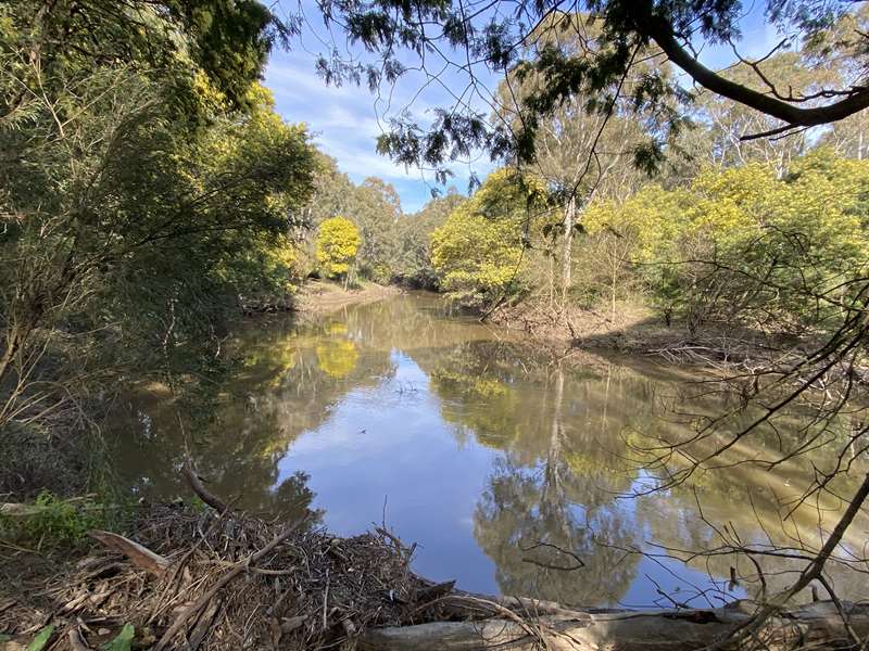 Wilson Reserve Trail (Ivanhoe)