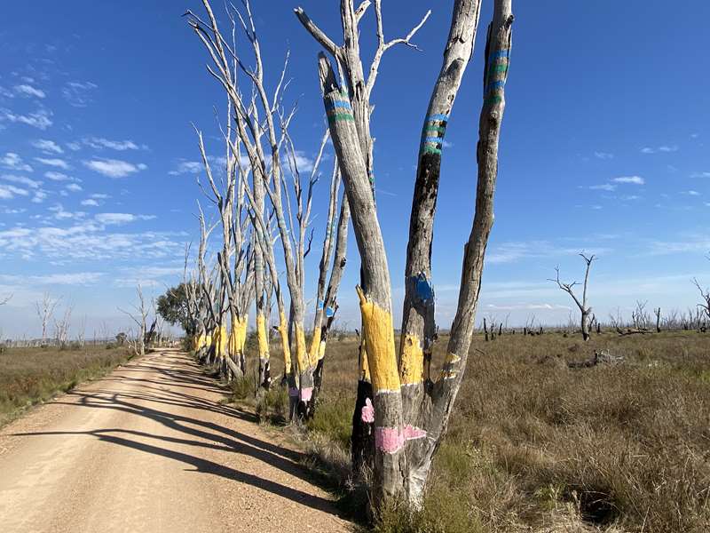 Winton Wetlands Art Trail