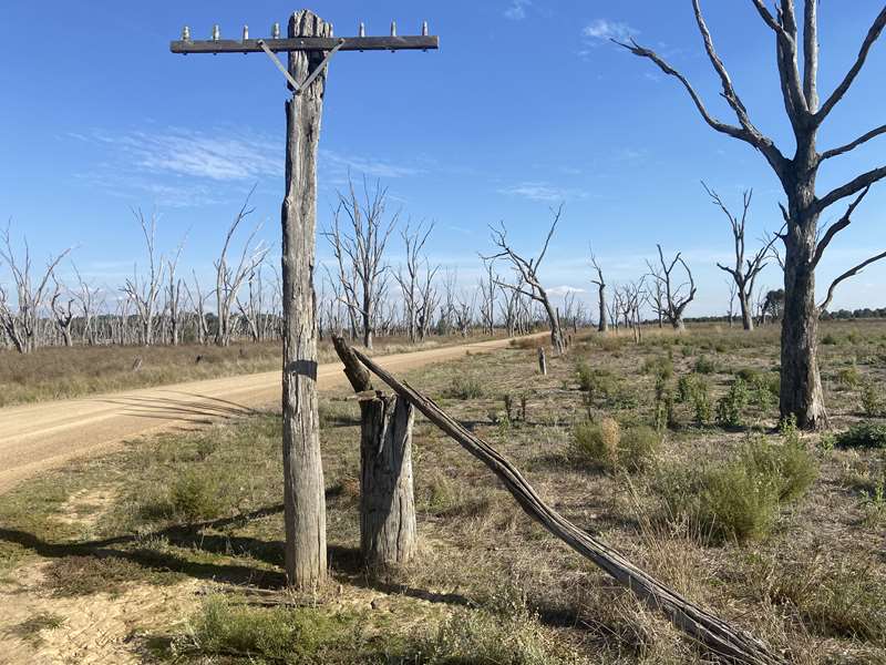 Winton Wetlands Art Trail