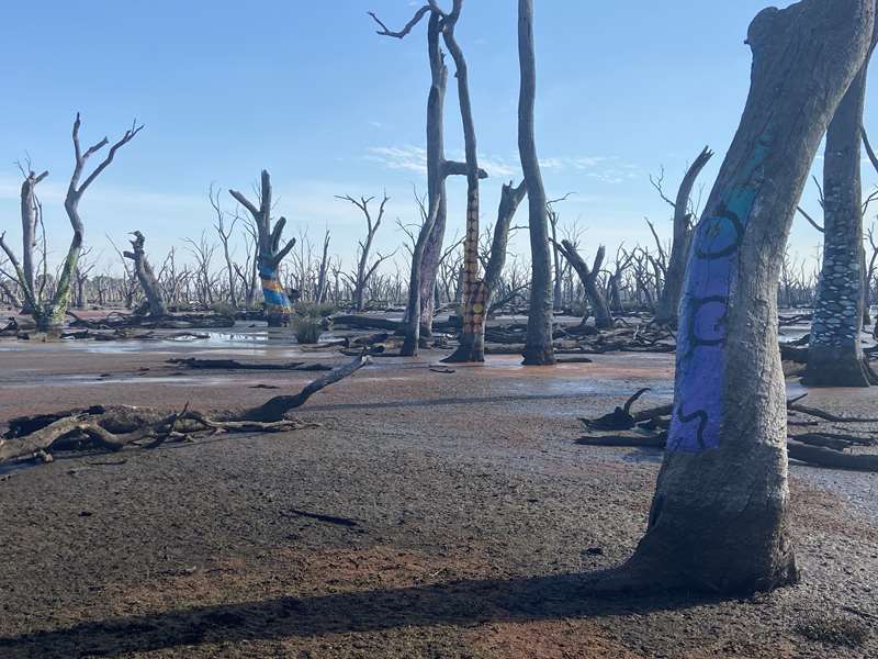 Chesney Vale - Winton Wetlands