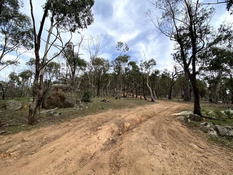 Wirrate - Melville's Lookout Walk