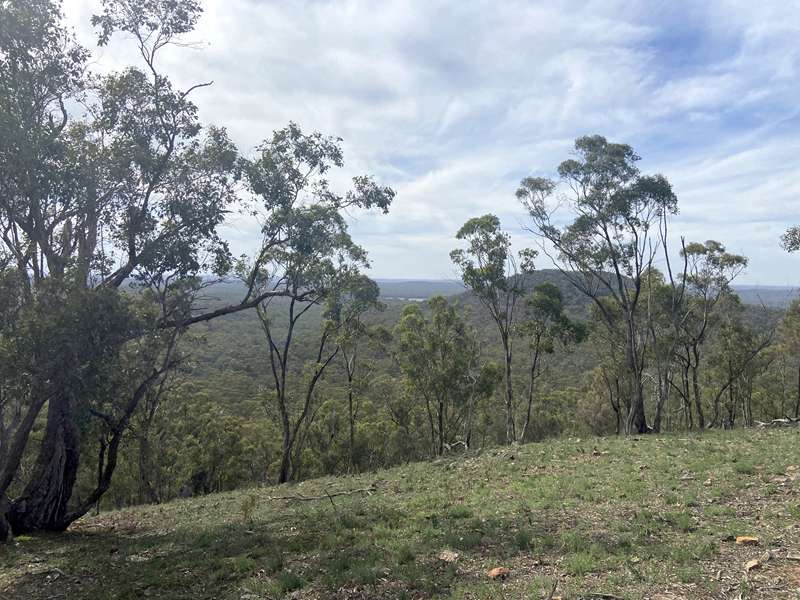 Wirrate - Melville's Lookout Walk