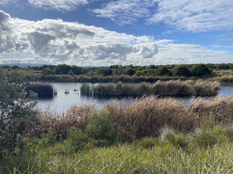 Wonthaggi - Victorian Desalination Project Ecological Reserve Trails