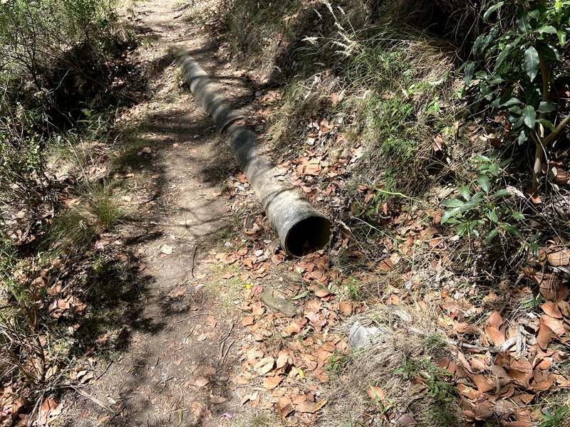 Yallourn North - Ollie's Track Walk