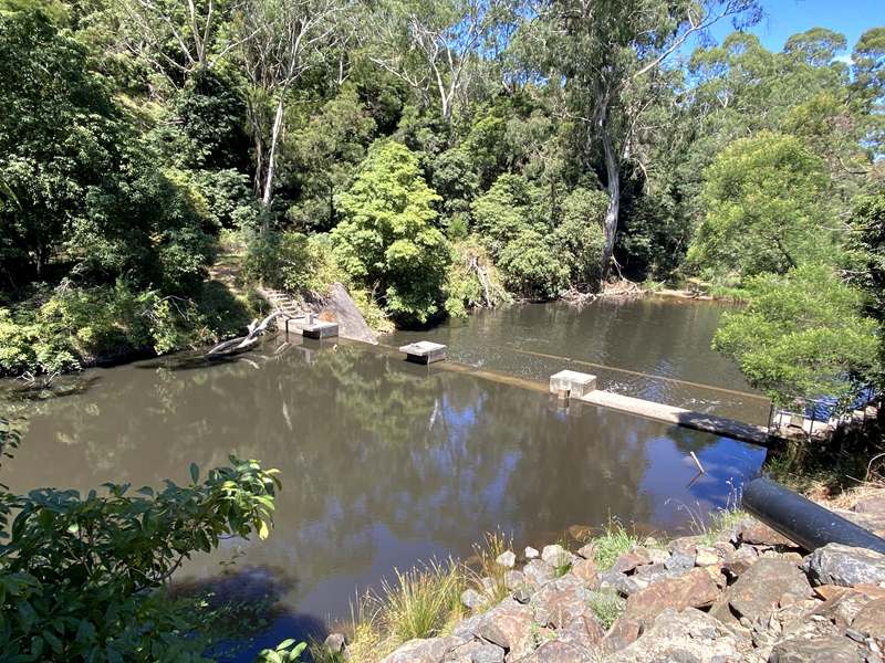 Yallourn North - Ollie's Track Walk